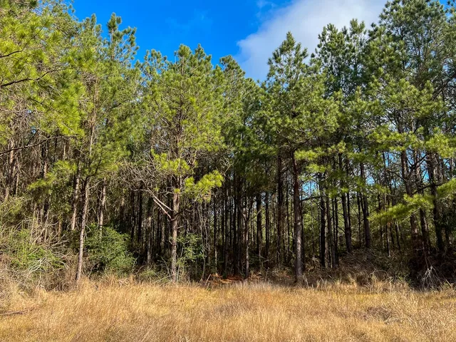 $1,613,700 | 0 Highway 12/ Linscomb Road, Vidor, TX 77662