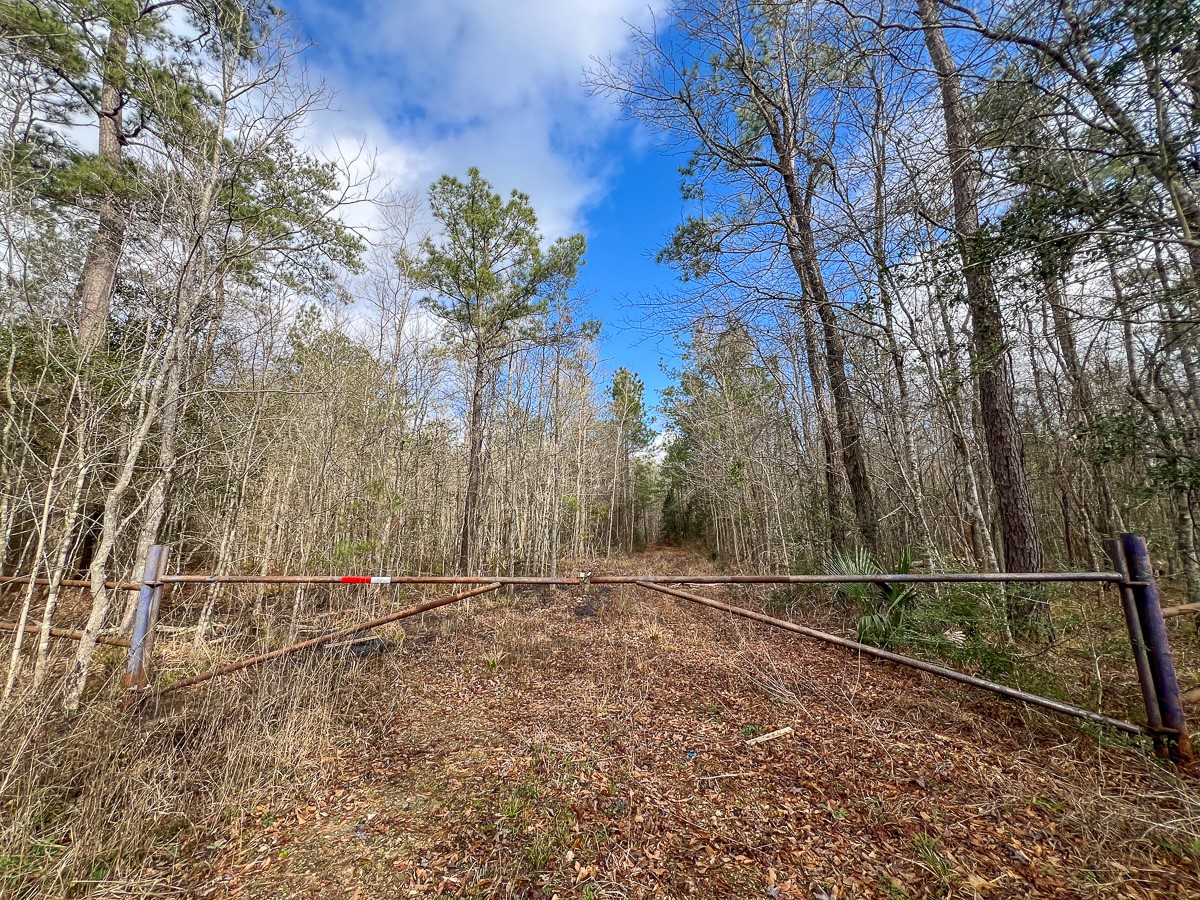 0 Highway 12/ Linscomb Road Vidor, TX 77662 - Photo 2 of 14