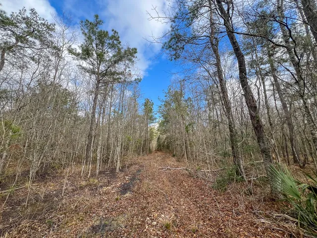 $1,613,700 | 0 Highway 12/ Linscomb Road, Vidor, TX 77662