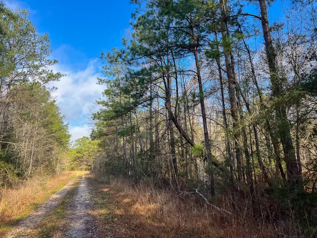 $1,613,700 | 0 Highway 12/ Linscomb Road, Vidor, TX 77662