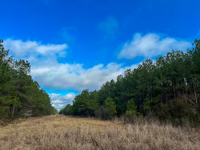 $1,613,700 | 0 Highway 12/ Linscomb Road, Vidor, TX 77662