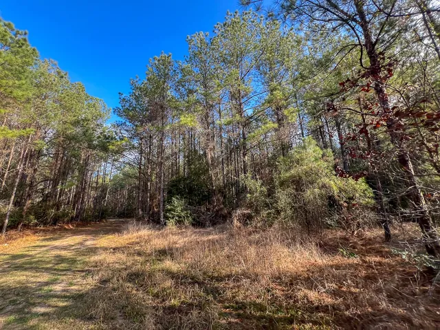 $1,613,700 | 0 Highway 12/ Linscomb Road, Vidor, TX 77662