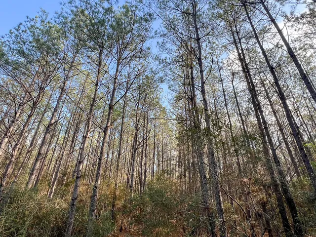 $1,613,700 | 0 Highway 12/ Linscomb Road, Vidor, TX 77662