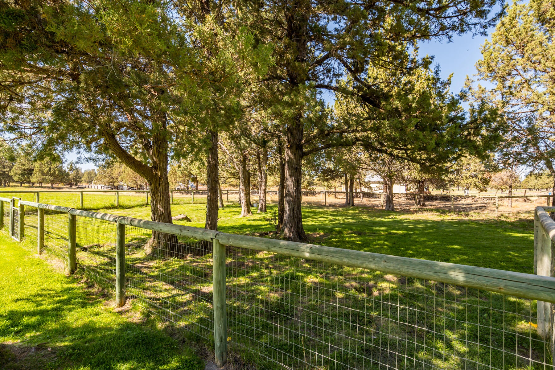 62880 Dickey Road Bend, OR 97701 - Photo 40 of 54 JH5_6390-2