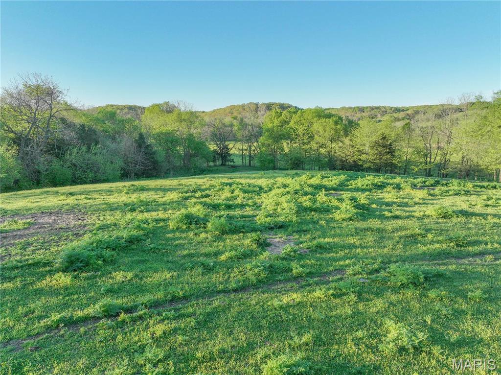 0 Tdb State Highway Galena, MO 65656 - Photo 12 of 15