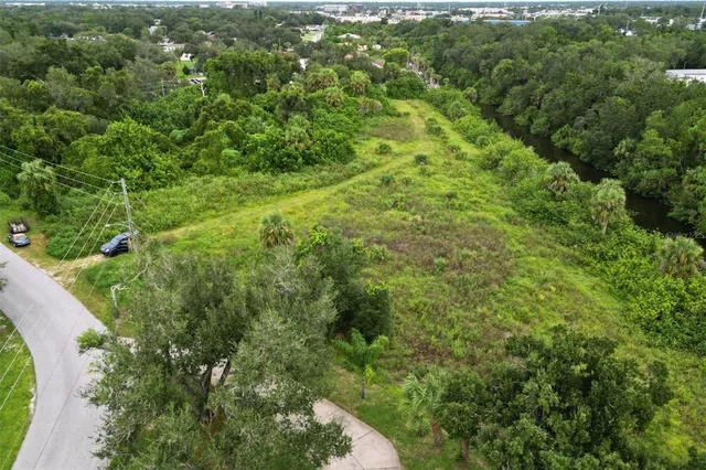 a view of a lush green forest with lots of trees