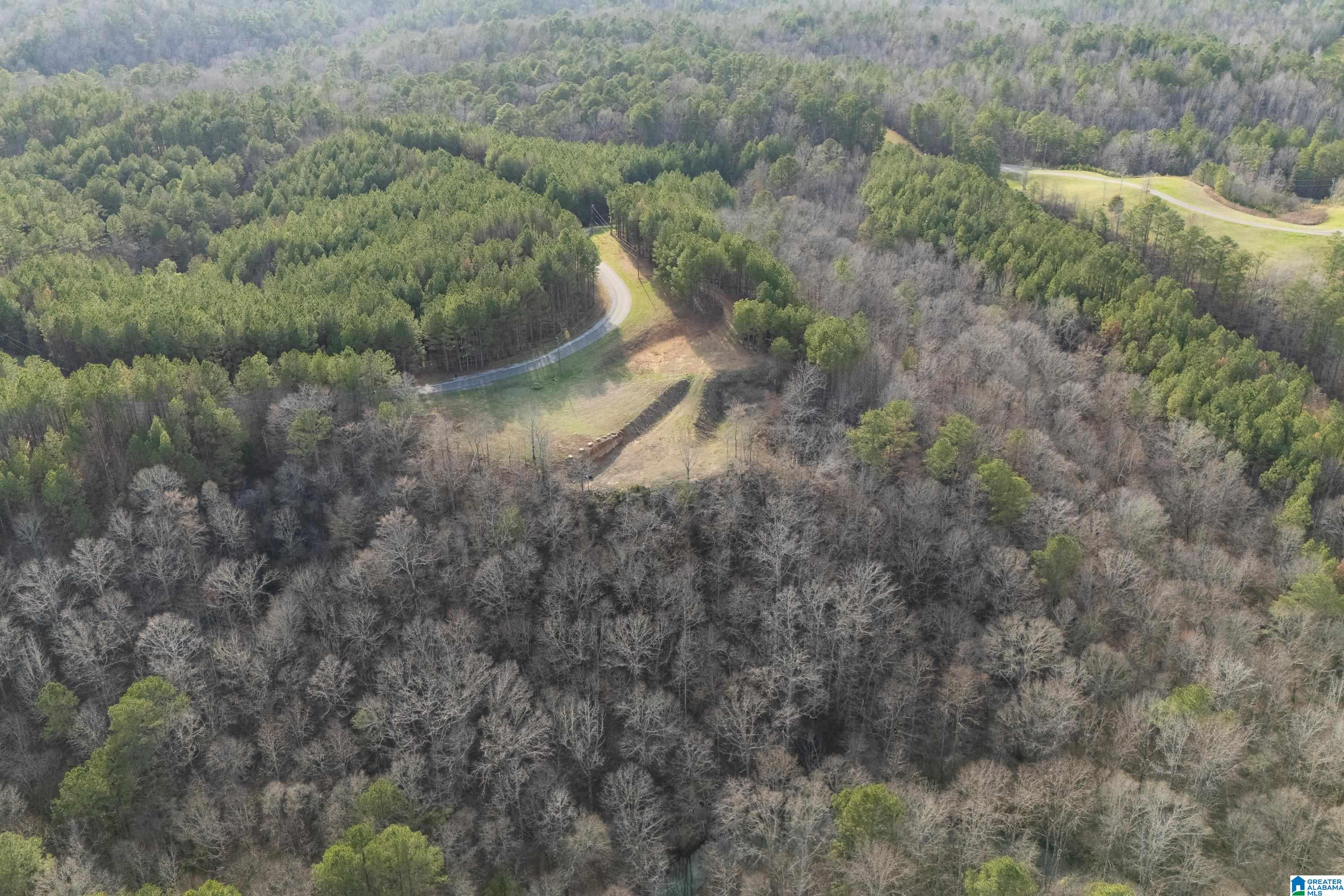 1321 Red Oak Road Helena, AL 35080 - Photo 9 of 12