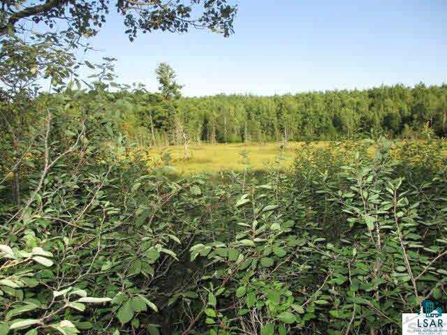 77700 Forest Road Washburn, WI 54891 - Photo 13 of 24 Gallery Image 13