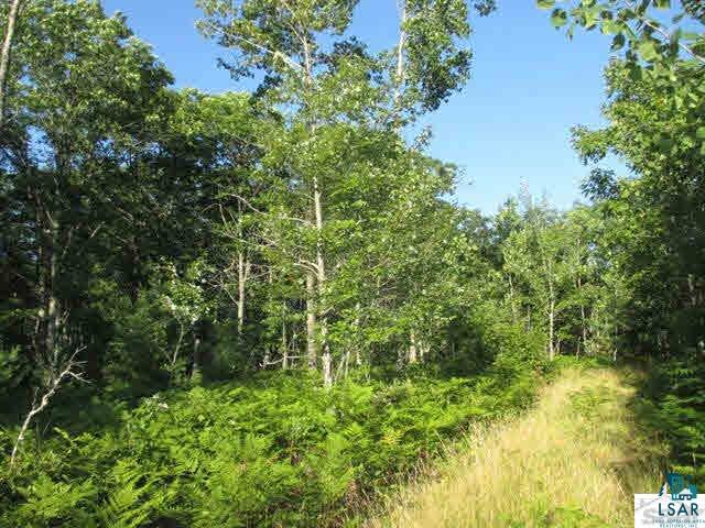 77700 Forest Road Washburn, WI 54891 - Photo 18 of 24 Gallery Image 18