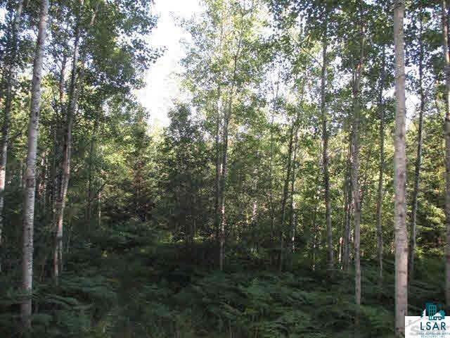 77700 Forest Road Washburn, WI 54891 - Photo 3 of 24 Gallery Image 3
