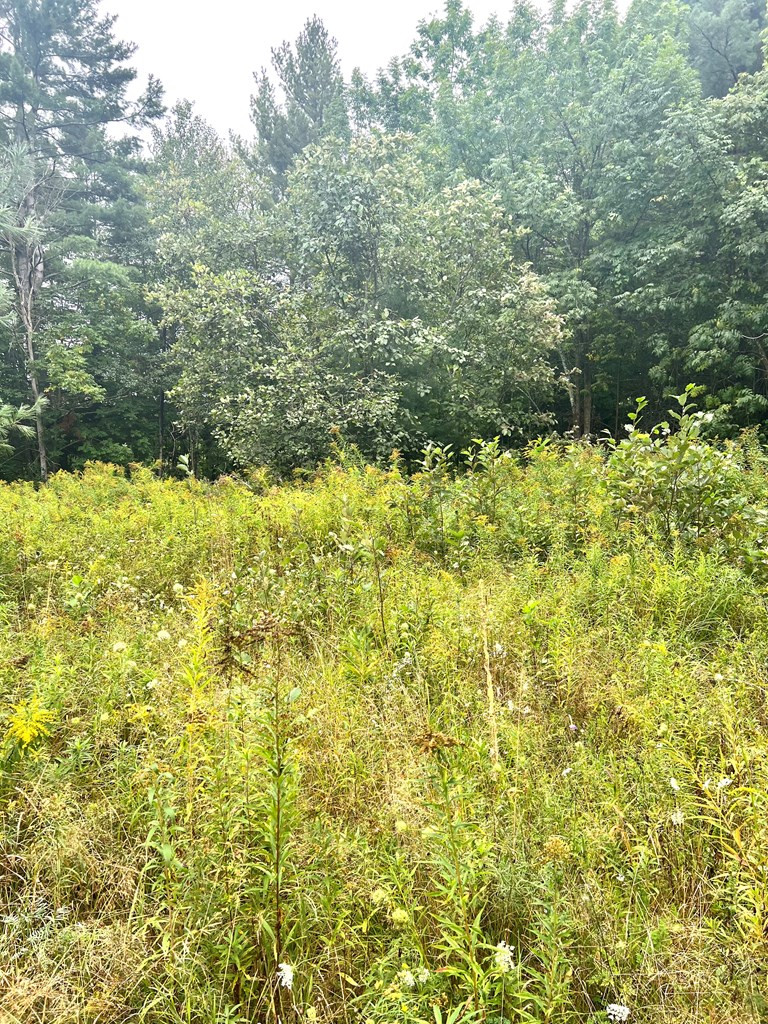 6592 Nys Rt 86 Jay, NY 12941 - Photo 6 of 9 Gallery Image 6