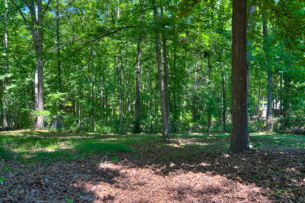 3705 Woodlake Road Hephzibah, GA 30815 - Photo 19 of 21