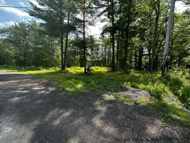 16 Stewart Road Cairo, NY 12470 - Photo 15 of 22 a view of a park with large trees