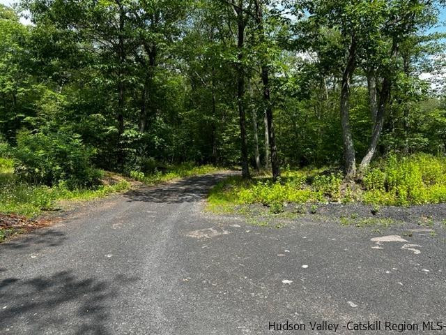 16 Stewart Road Cairo, NY 12470 - Photo 19 of 22 a view of a yard with plants and trees