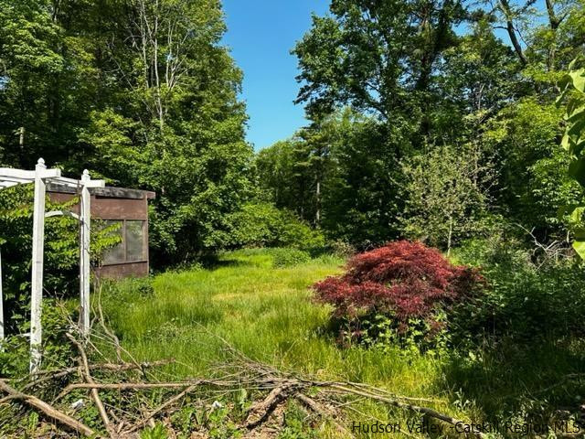 16 Stewart Road Cairo, NY 12470 - Photo 20 of 22 a view of a garden with plants