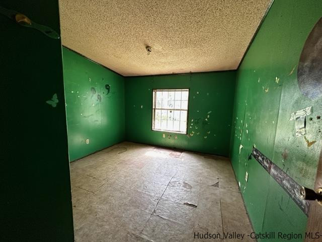 16 Stewart Road Cairo, NY 12470 - Photo 6 of 22 a view of a backyard of a house