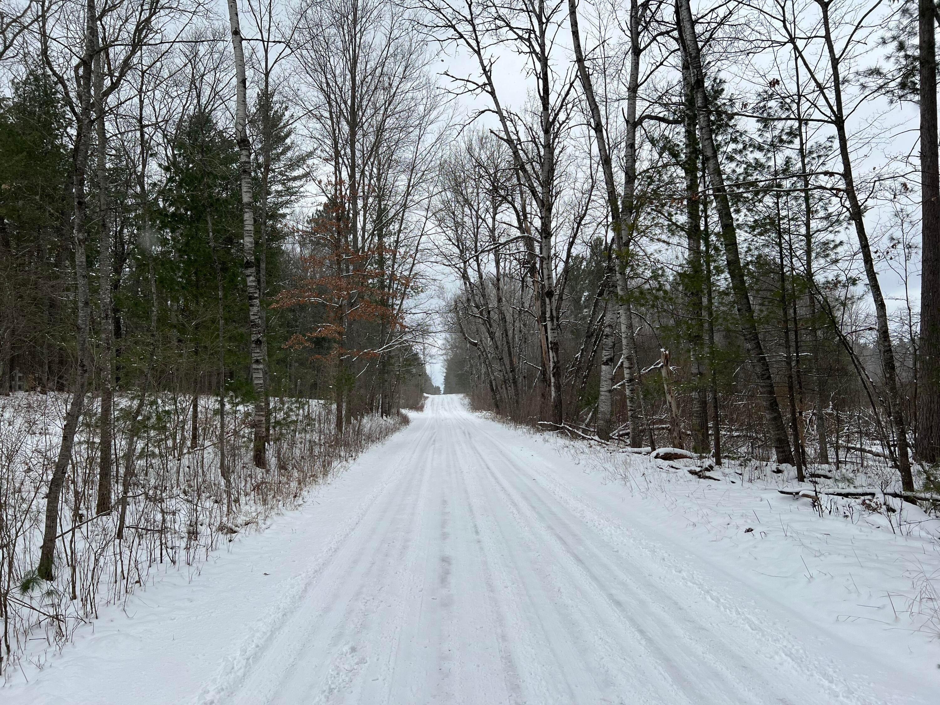 Lot #1 Shupac Lake Road Grayling, MI 49738 - Photo 10 of 10 Gallery Image 10
