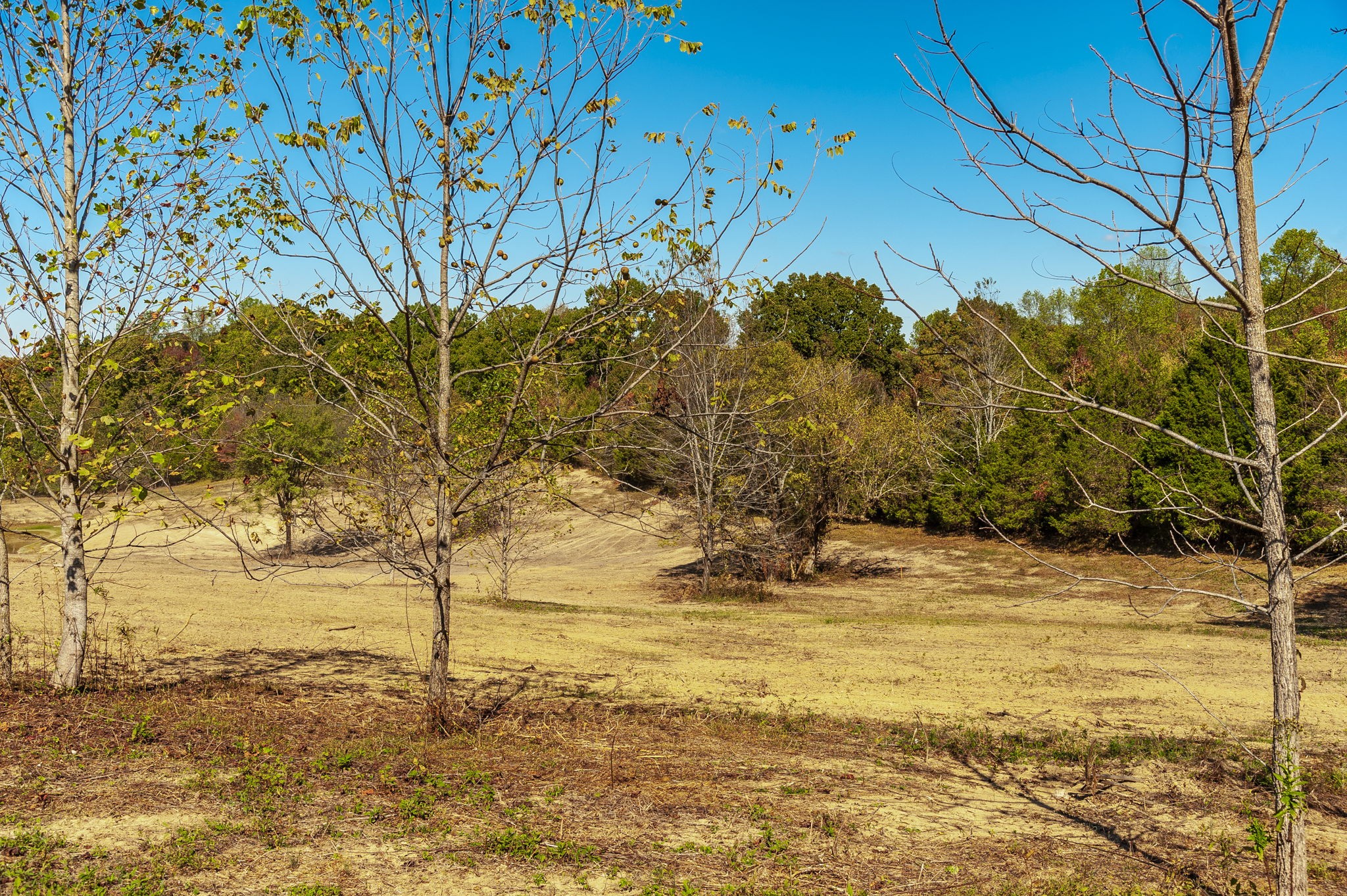 23 Rock Bridge Road Bethpage, TN 37022 - Photo 13 of 15