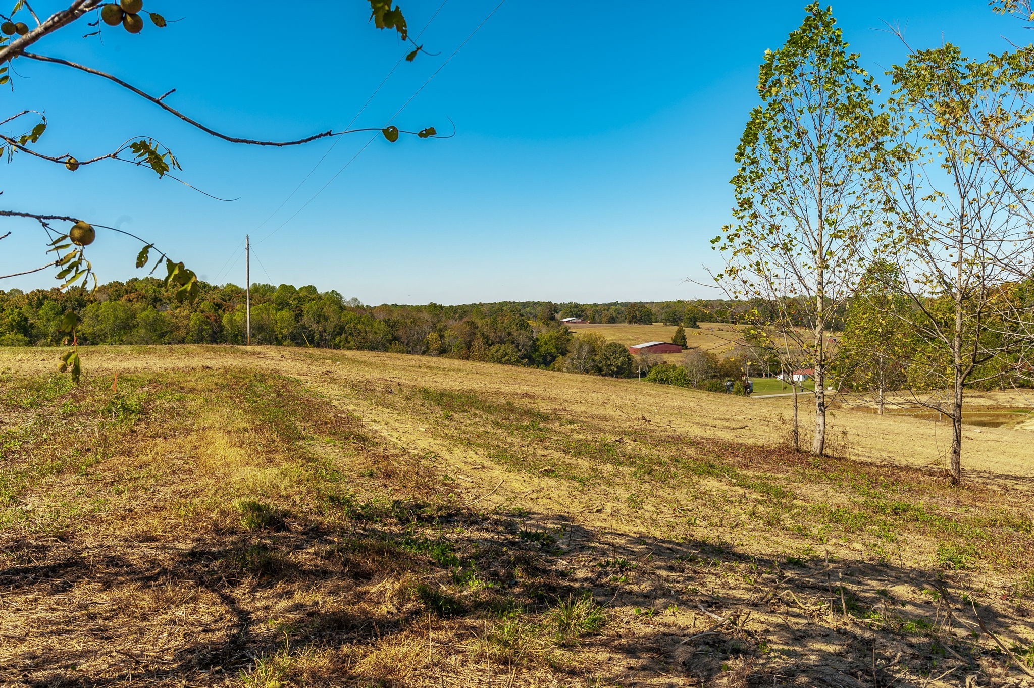 23 Rock Bridge Road Bethpage, TN 37022 - Photo 7 of 15