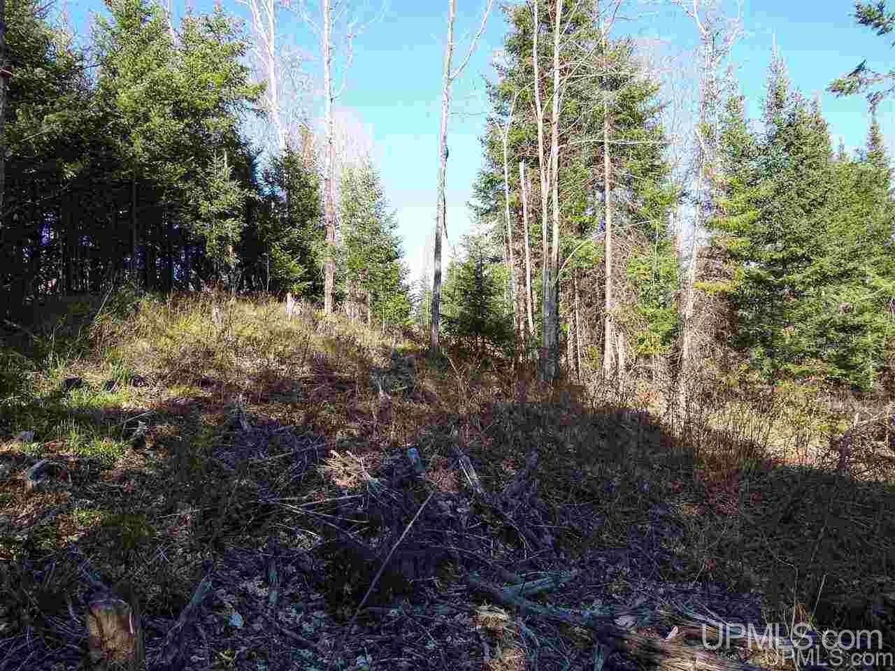 Tbd Silver Falls Road Lanse, MI 49946 - Photo 16 of 19 Gallery Image 16