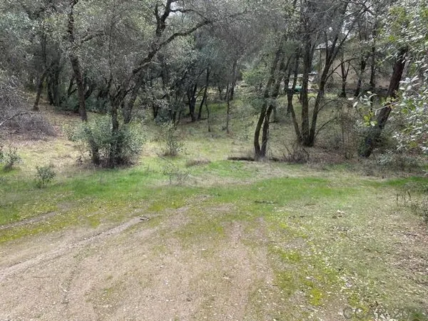 $98,000 | 1621 Coyote Drive, Murphys, CA 95247