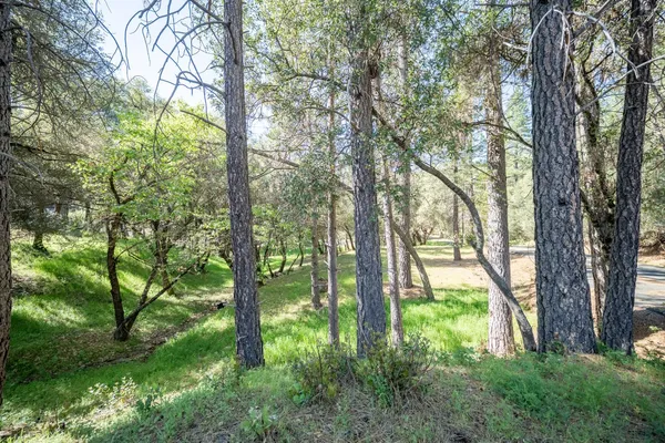 $98,000 | 1621 Coyote Drive, Murphys, CA 95247