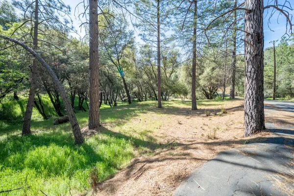 $98,000 | 1621 Coyote Drive, Murphys, CA 95247