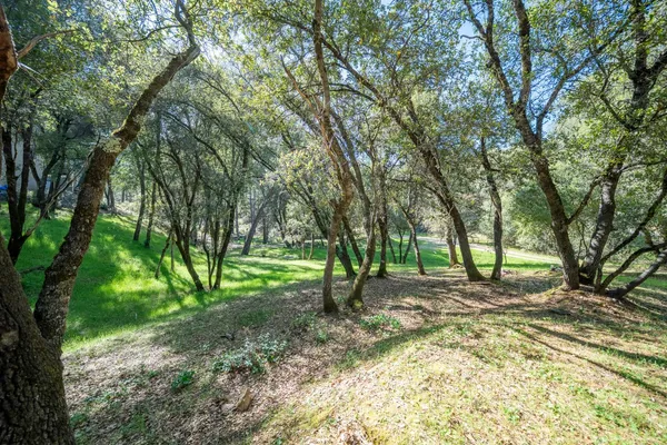 $98,000 | 1621 Coyote Drive, Murphys, CA 95247