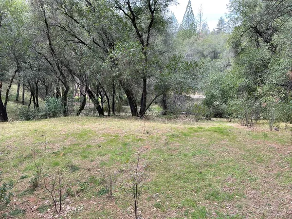 $98,000 | 1621 Coyote Drive, Murphys, CA 95247