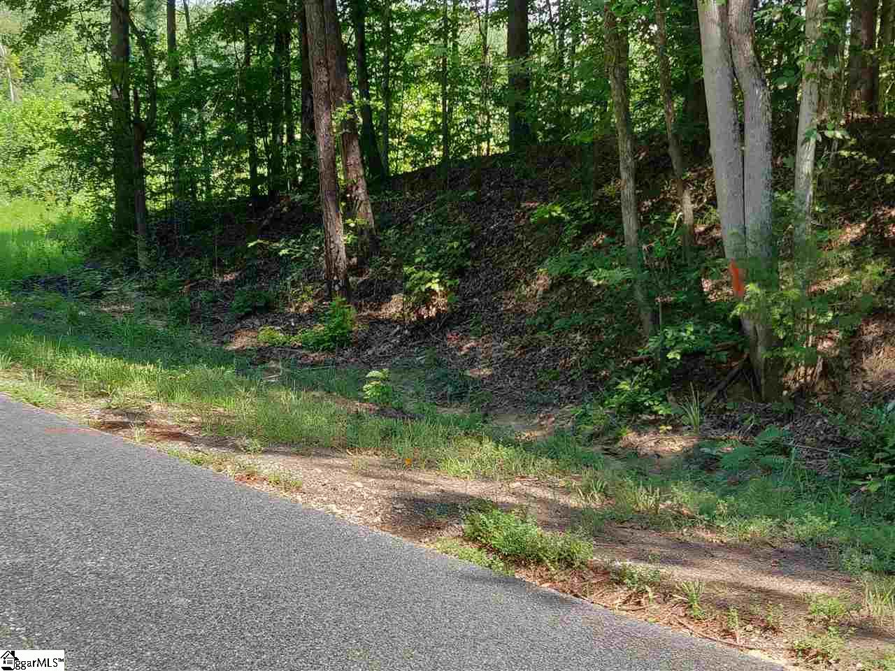1367 Stomp Springs Road Clinton, SC 29325 - Photo 3 of 11