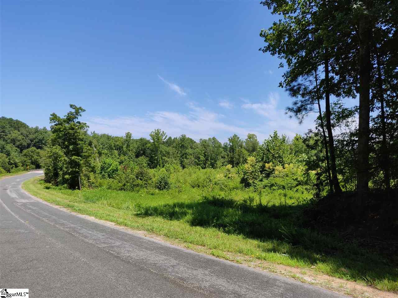 1367 Stomp Springs Road Clinton, SC 29325 - Photo 5 of 11