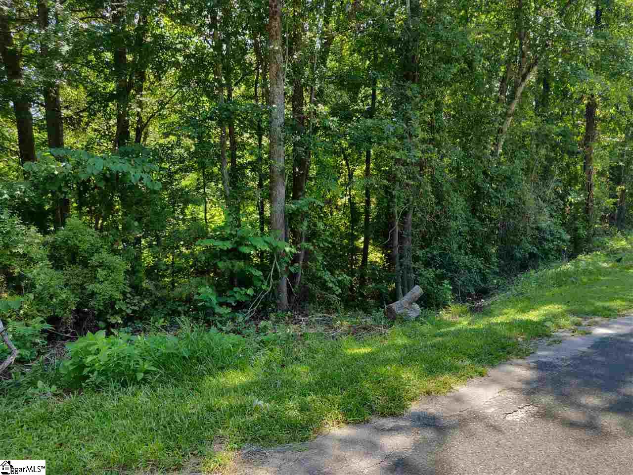 1367 Stomp Springs Road Clinton, SC 29325 - Photo 9 of 11