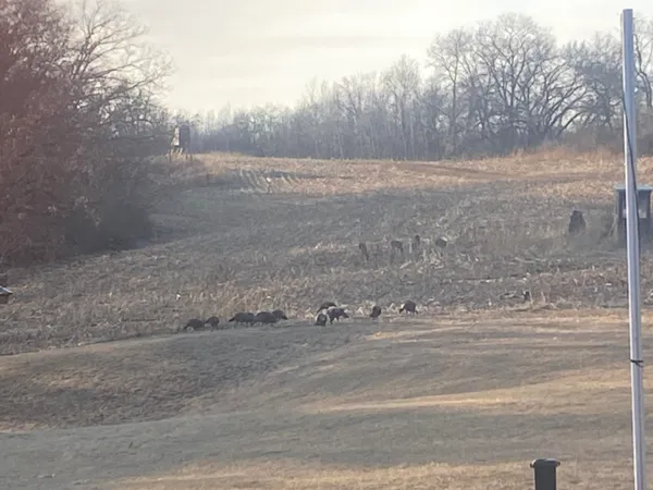 $3,400,000 | 8580 Roelke Road, Blue Mounds, WI 53517