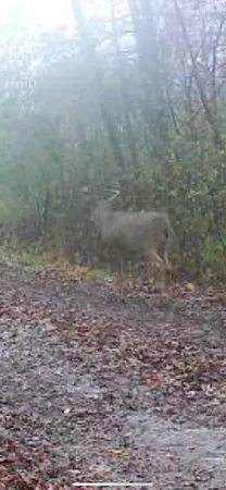 $3,400,000 | 8580 Roelke Road, Blue Mounds, WI 53517