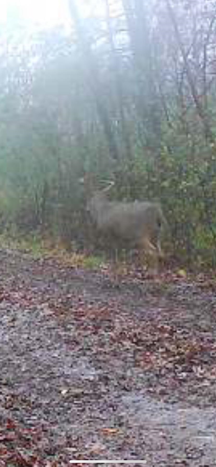 8580 Roelke Road Blue Mounds, WI 53517 - Photo 22 of 82