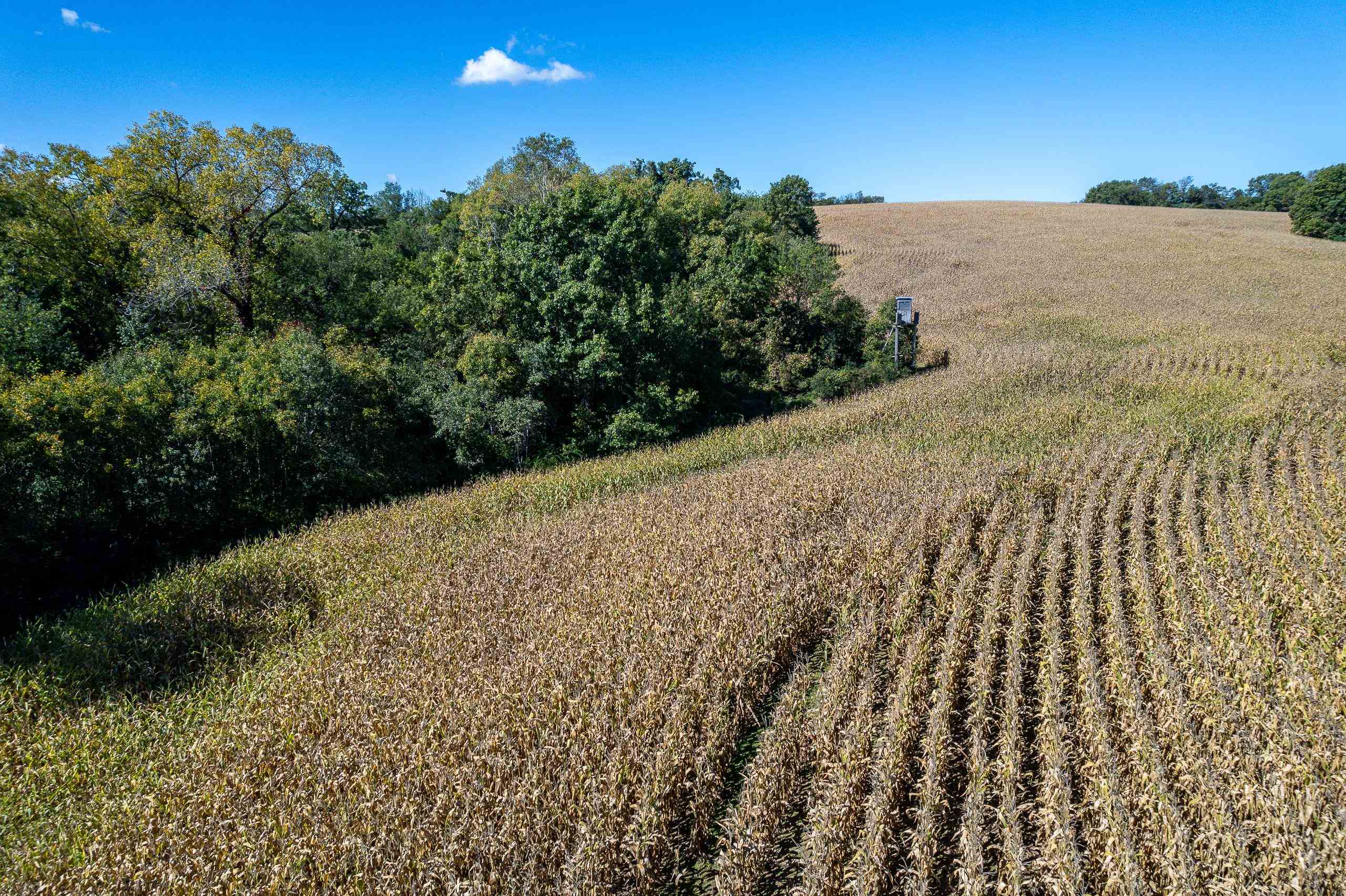 8580 Roelke Road Blue Mounds, WI 53517 - Photo 23 of 82