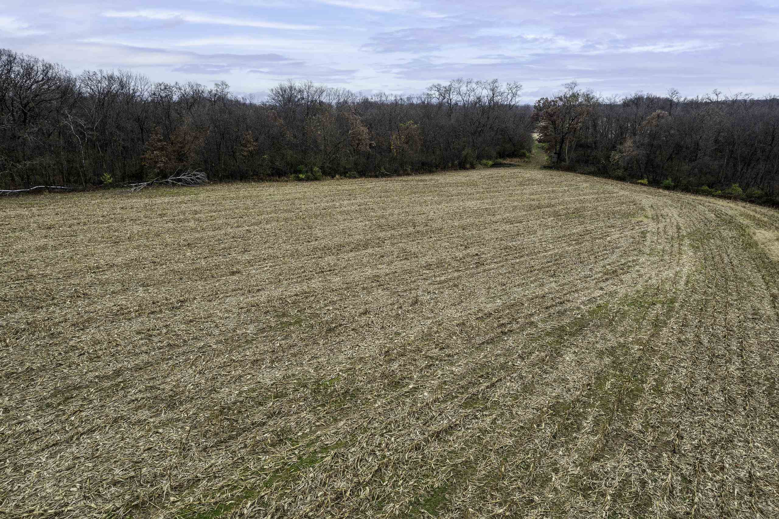 8580 Roelke Road Blue Mounds, WI 53517 - Photo 31 of 82