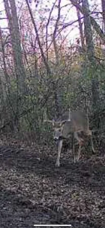 $3,400,000 | 8580 Roelke Road, Blue Mounds, WI 53517