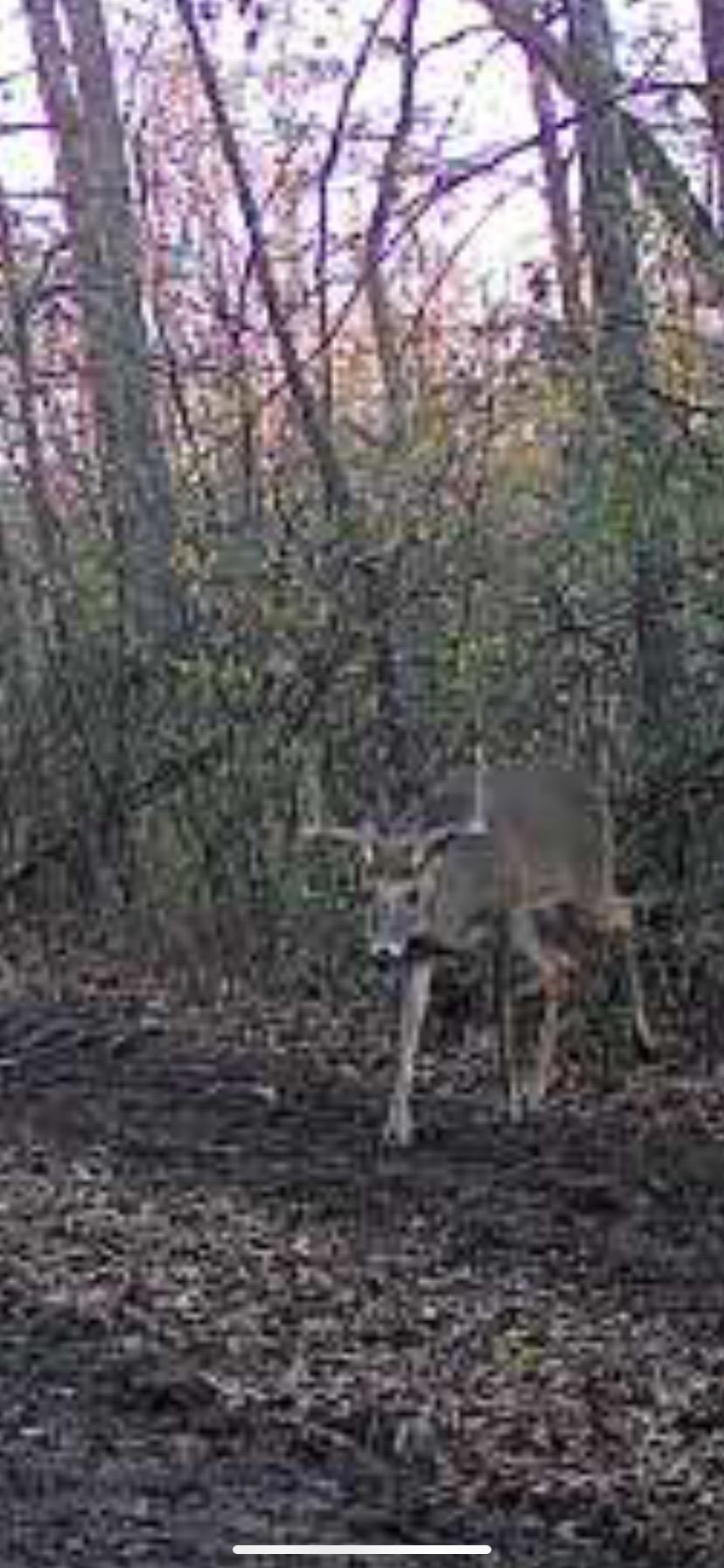 8580 Roelke Road Blue Mounds, WI 53517 - Photo 34 of 82