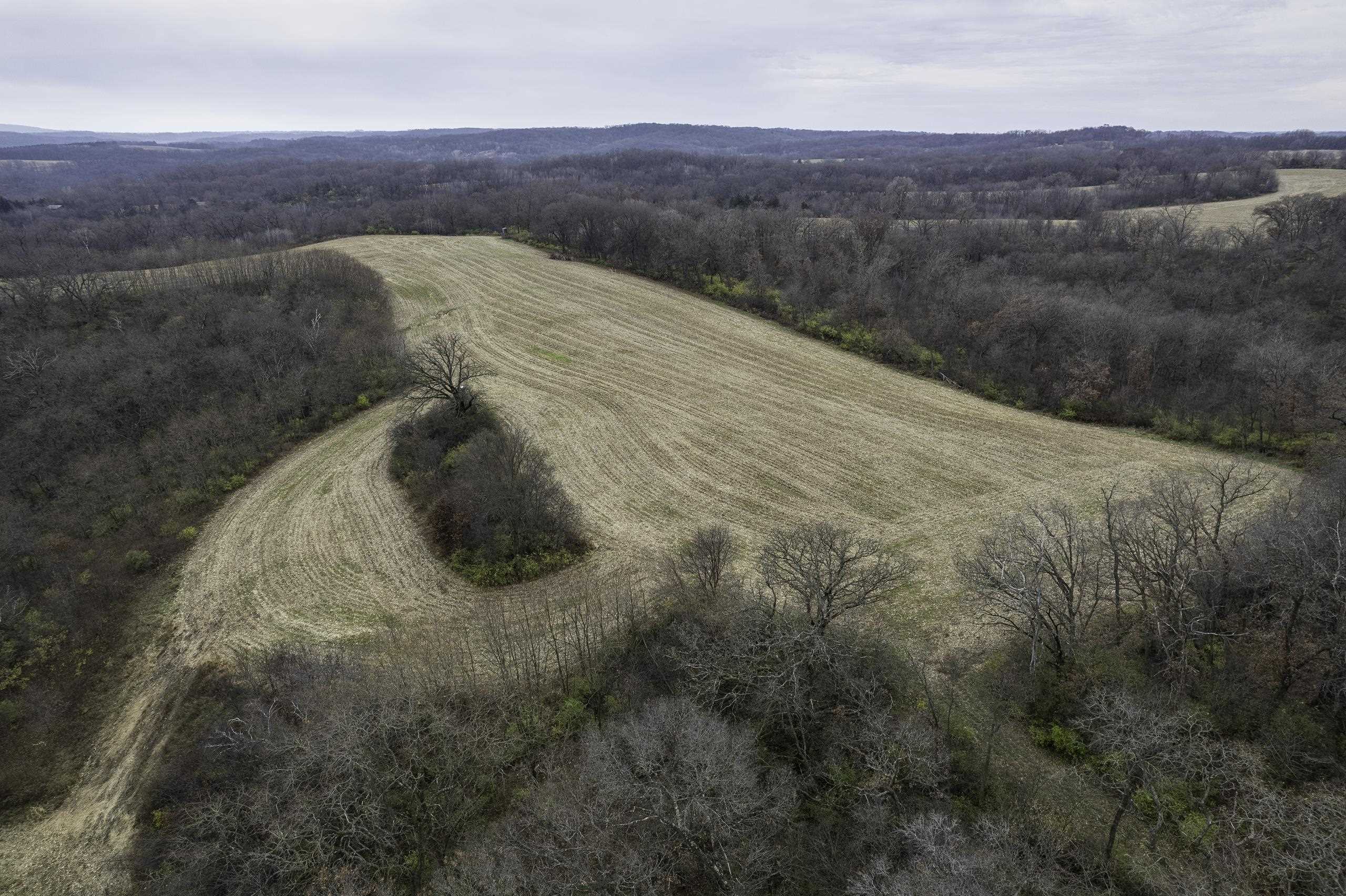 8580 Roelke Road Blue Mounds, WI 53517 - Photo 35 of 82