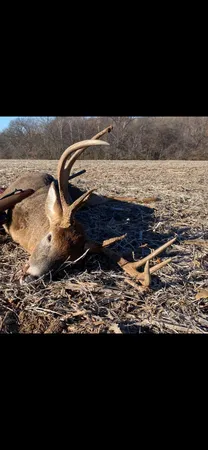 $3,400,000 | 8580 Roelke Road, Blue Mounds, WI 53517