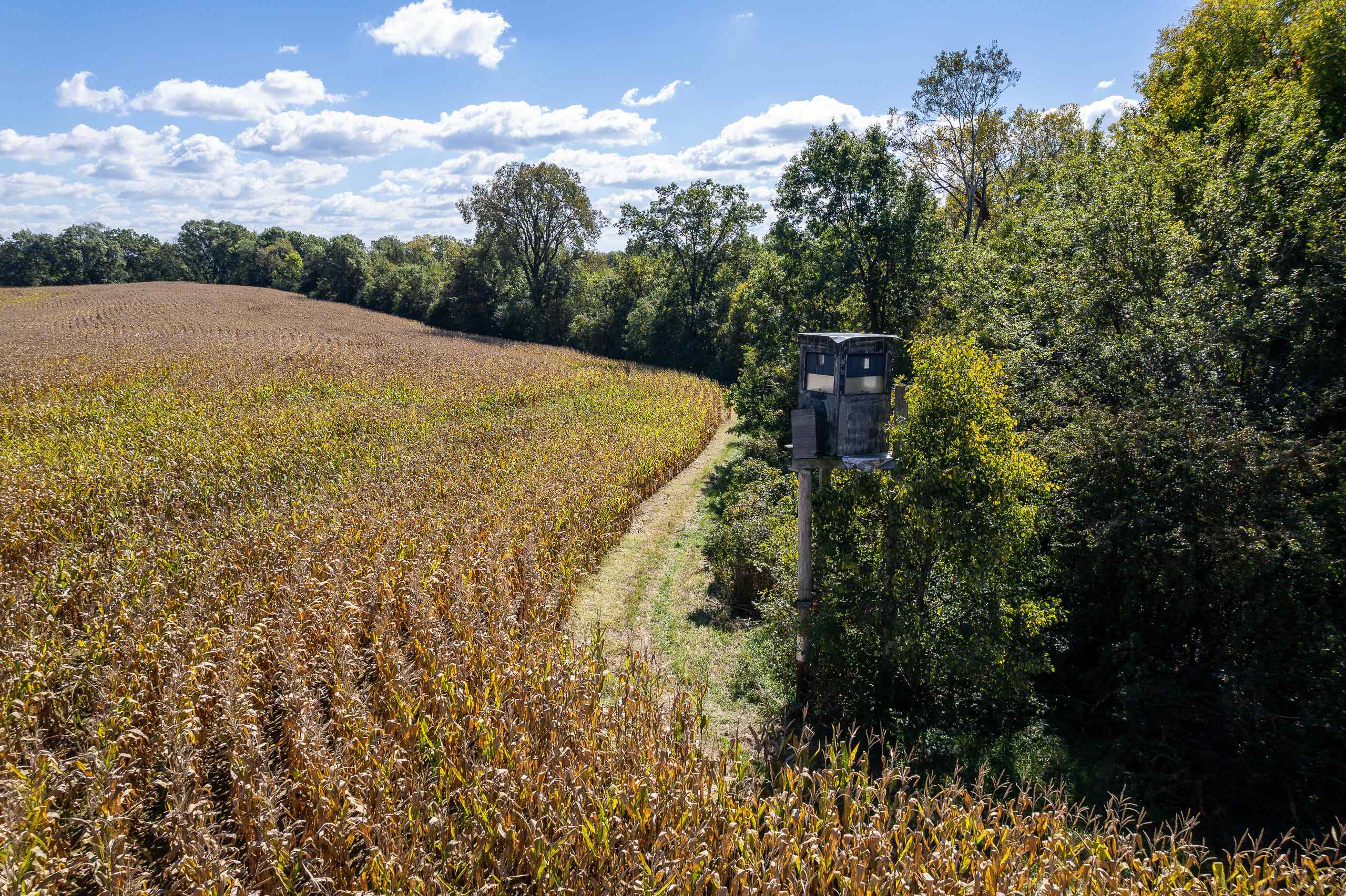 8580 Roelke Road Blue Mounds, WI 53517 - Photo 40 of 82
