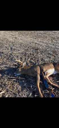 $3,400,000 | 8580 Roelke Road, Blue Mounds, WI 53517