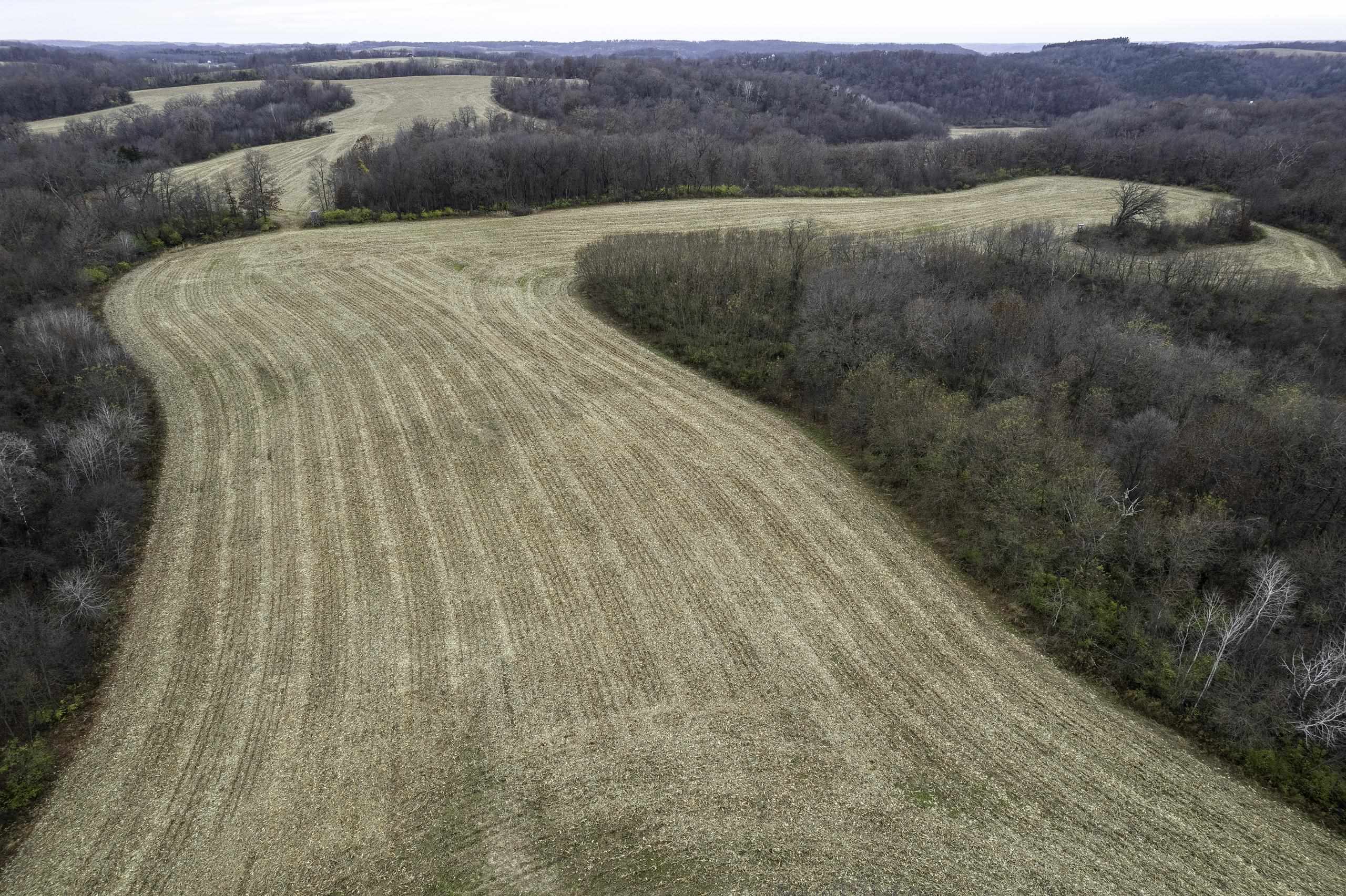 8580 Roelke Road Blue Mounds, WI 53517 - Photo 50 of 82