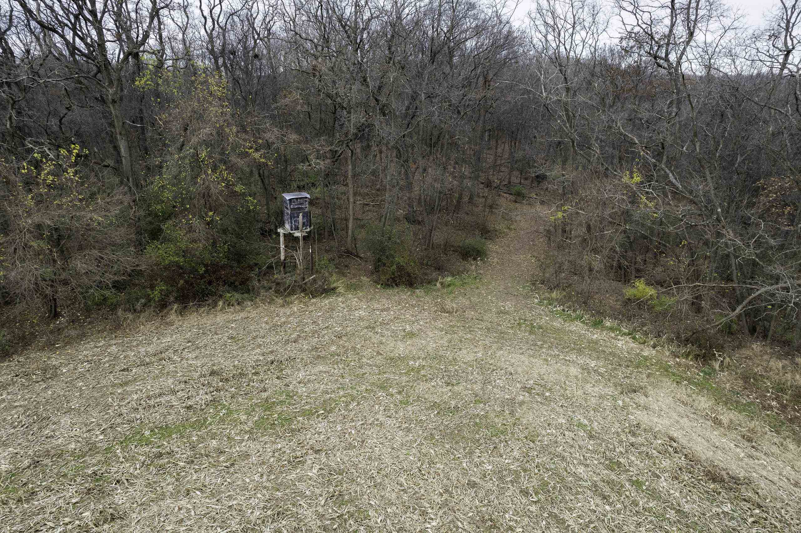 8580 Roelke Road Blue Mounds, WI 53517 - Photo 53 of 82
