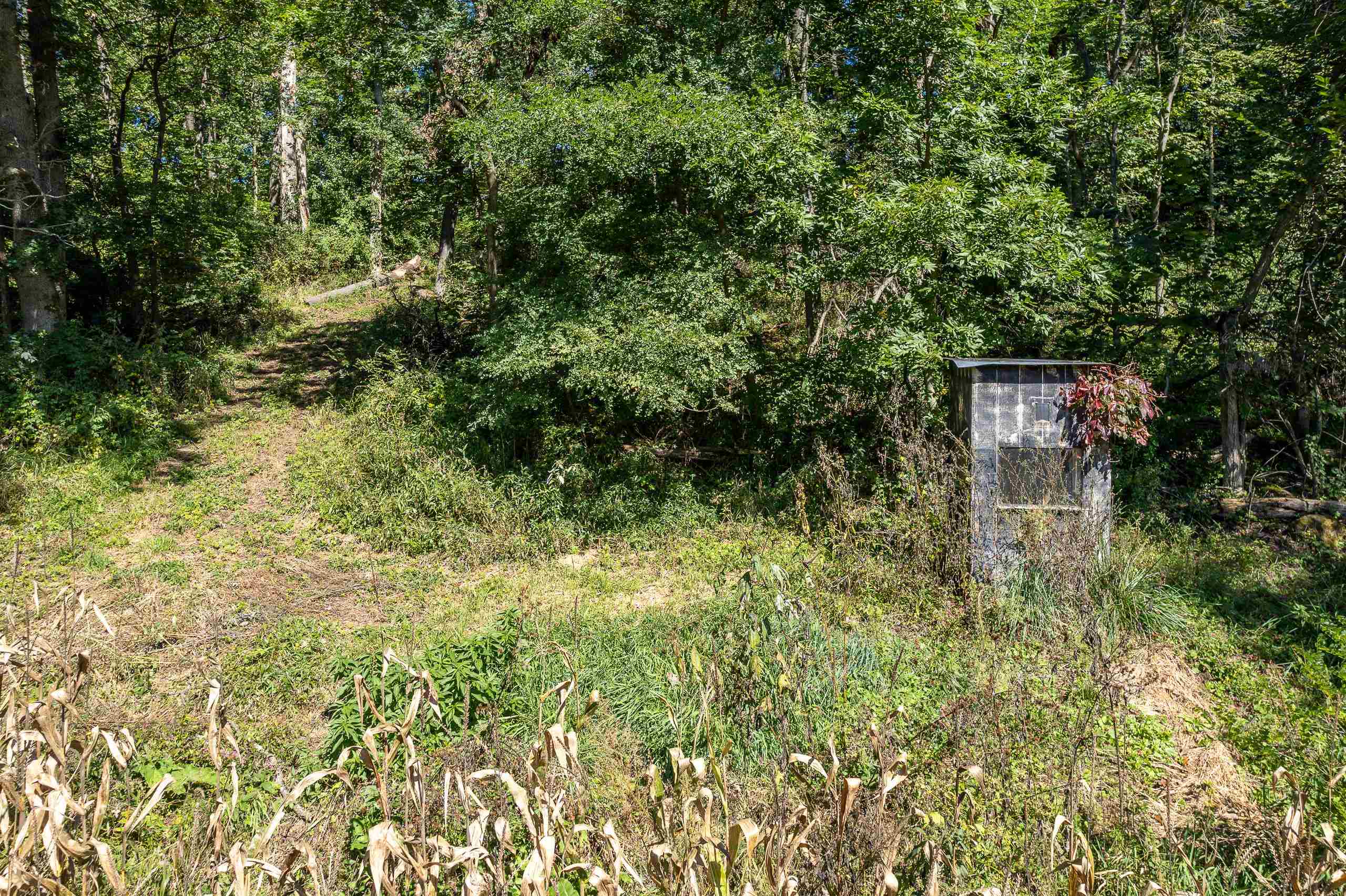 8580 Roelke Road Blue Mounds, WI 53517 - Photo 54 of 82
