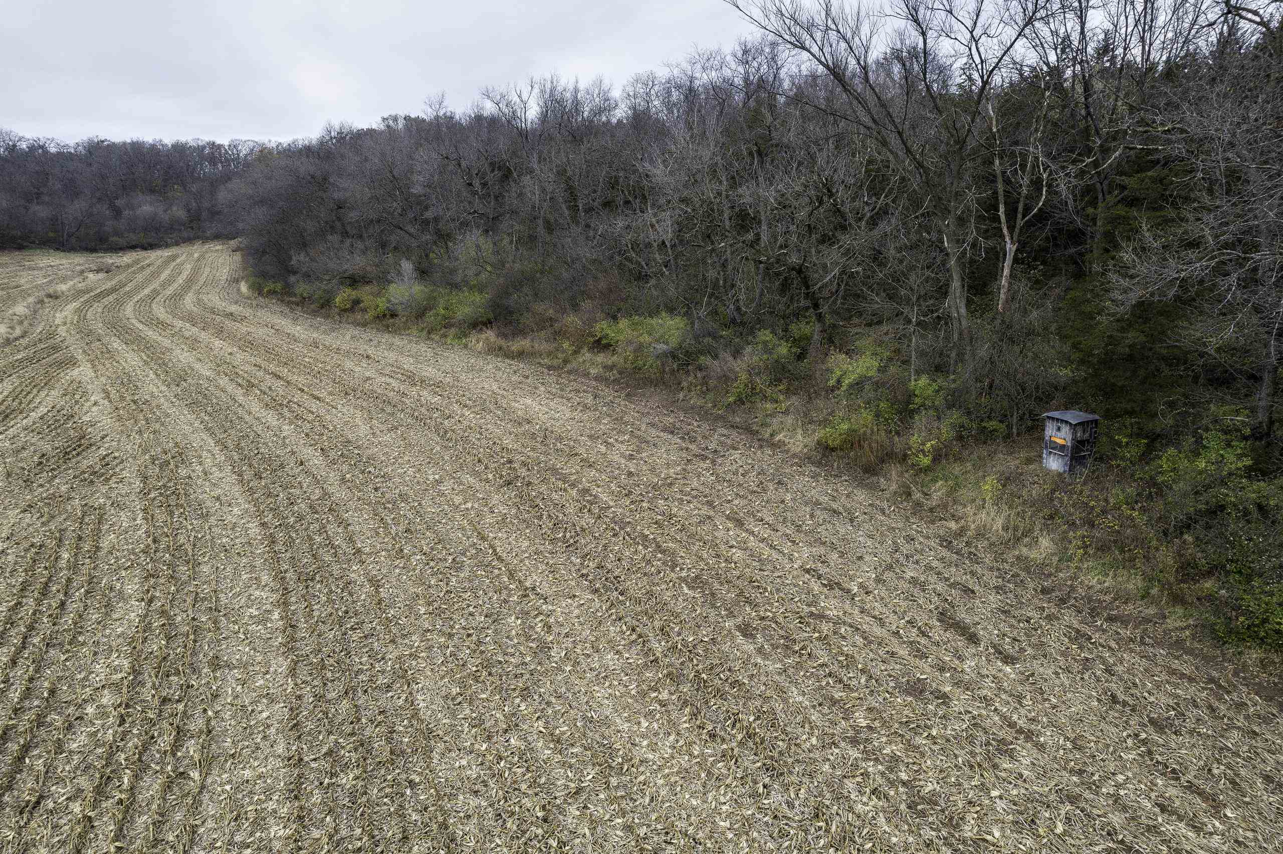 8580 Roelke Road Blue Mounds, WI 53517 - Photo 55 of 82