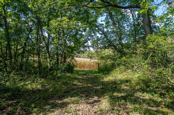 $3,400,000 | 8580 Roelke Road, Blue Mounds, WI 53517