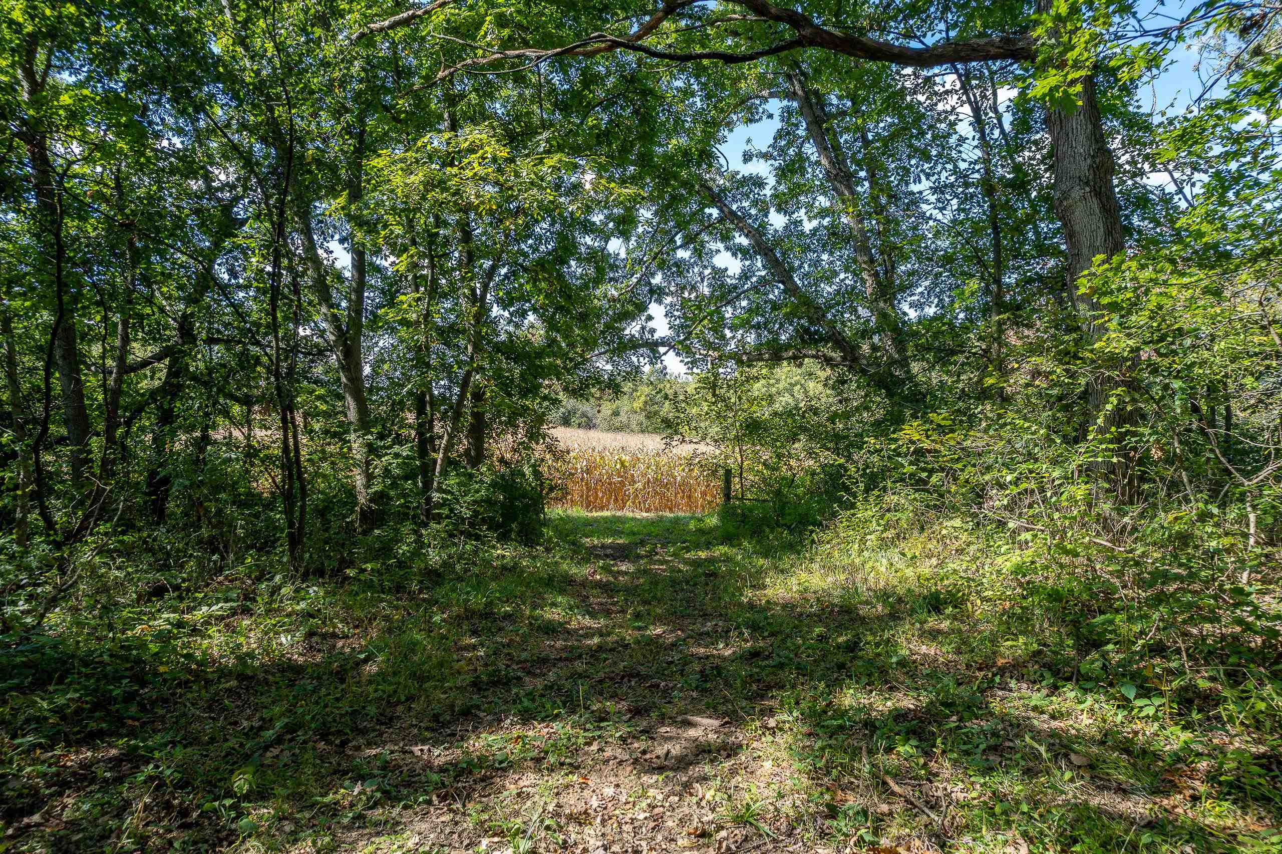 8580 Roelke Road Blue Mounds, WI 53517 - Photo 58 of 82