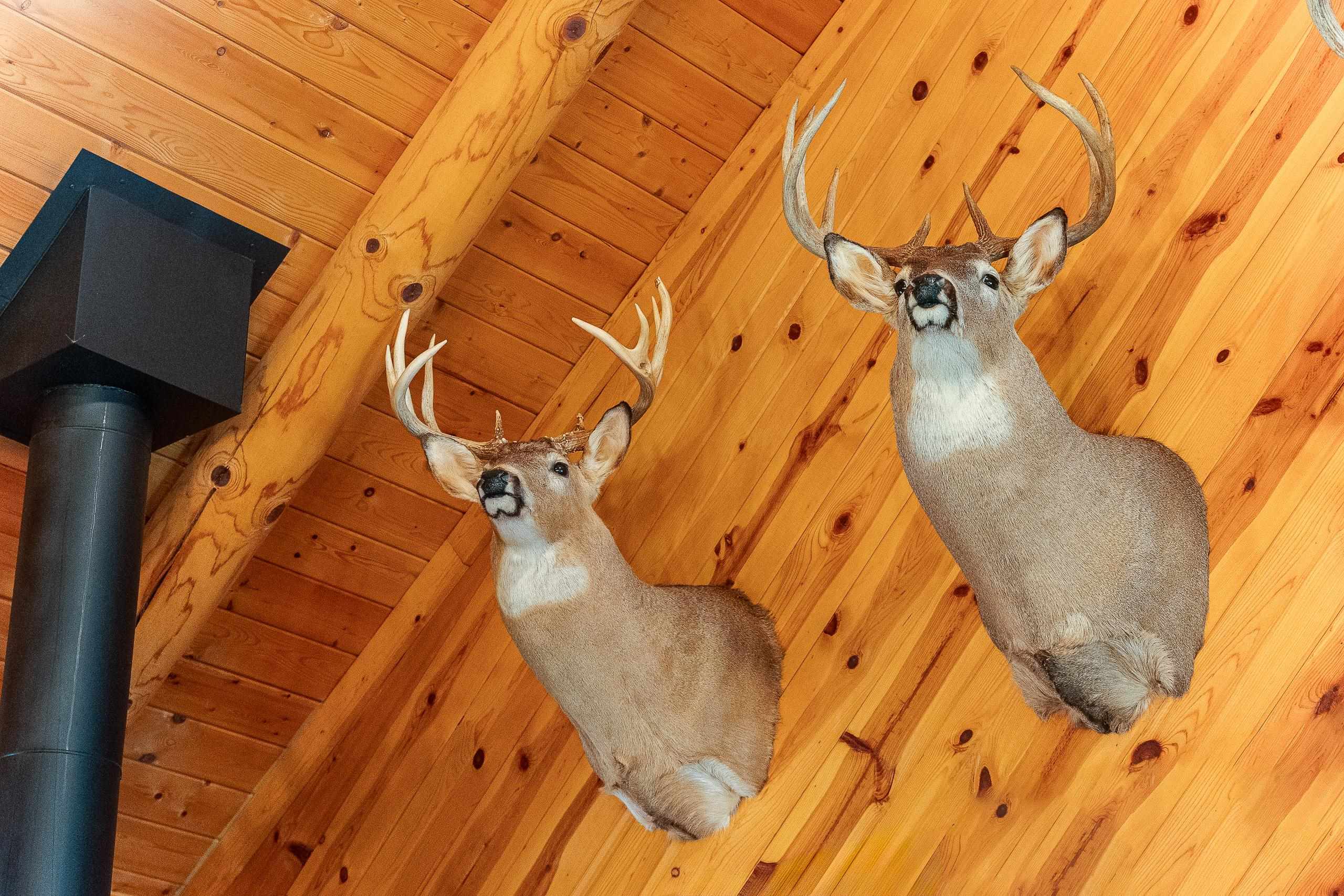 8580 Roelke Road Blue Mounds, WI 53517 - Photo 71 of 82